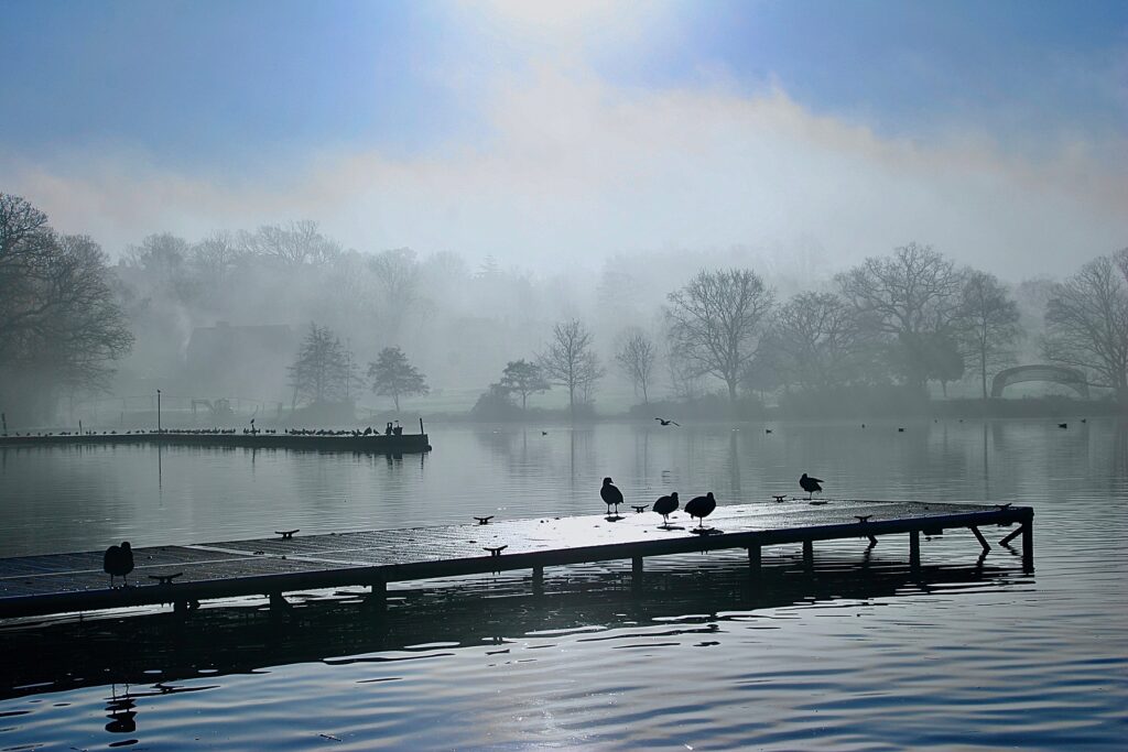 Looking across the Wimbledon Park lake towards the golf clubhouse during fog