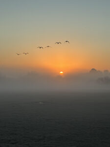 Winter Sunrise Wimbledon Park Lake January 2026
