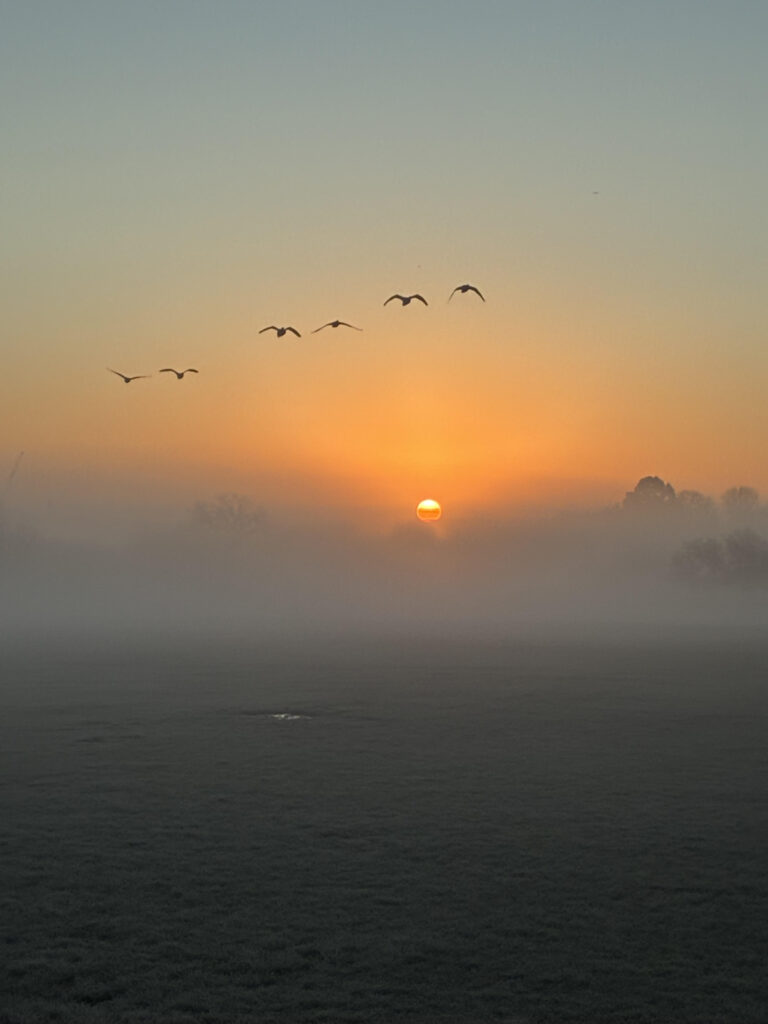 Winter Sunrise Wimbledon Park Lake January 2026