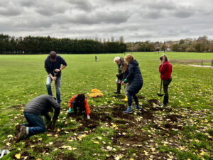 FOWP Daffodil Bulb Planting