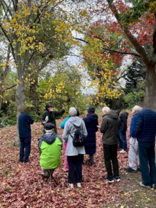 Friends of Wimbledon Park Tour