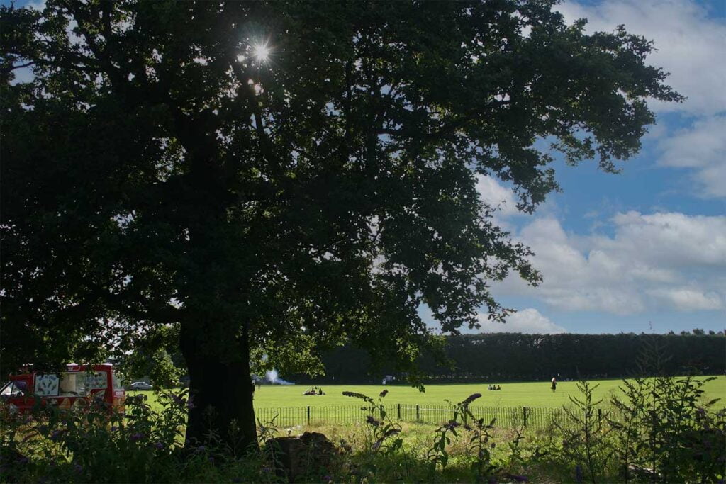 Peace in Wimbledon Park